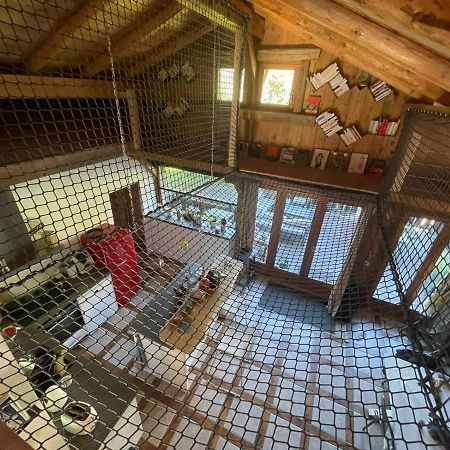סרווז Magnifique Chalet Dans La Vallee De Chamonix מראה חיצוני תמונה
