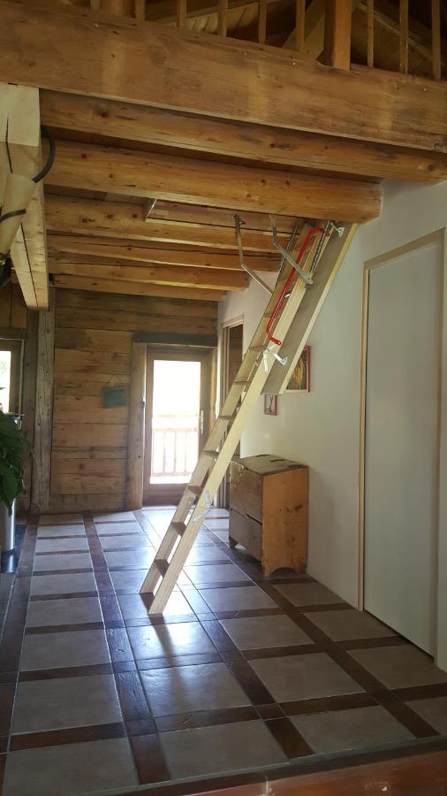 סרווז Magnifique Chalet Dans La Vallee De Chamonix מראה חיצוני תמונה