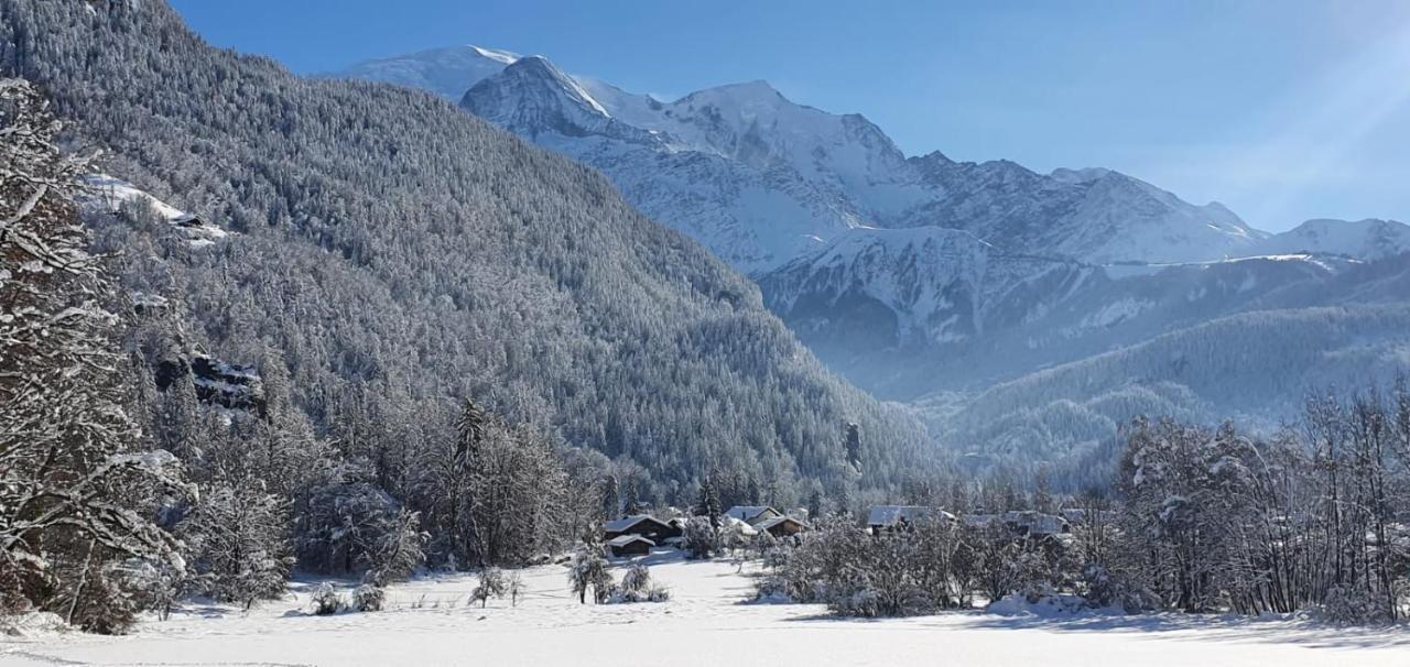 סרווז Magnifique Chalet Dans La Vallee De Chamonix מראה חיצוני תמונה
