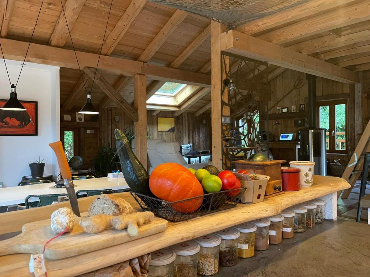 סרווז Magnifique Chalet Dans La Vallee De Chamonix מראה חיצוני תמונה