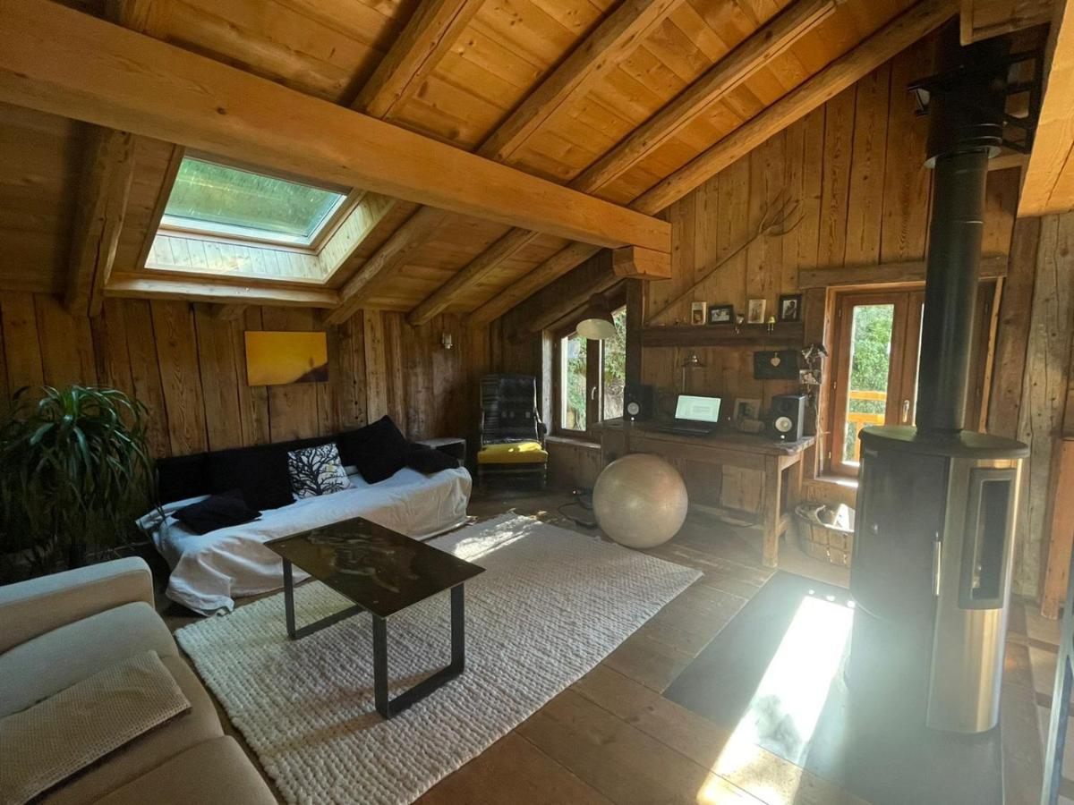 סרווז Magnifique Chalet Dans La Vallee De Chamonix מראה חיצוני תמונה